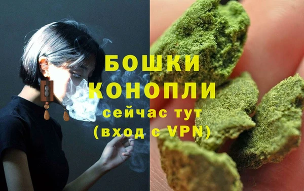 PSILOCYBIN Приозерск