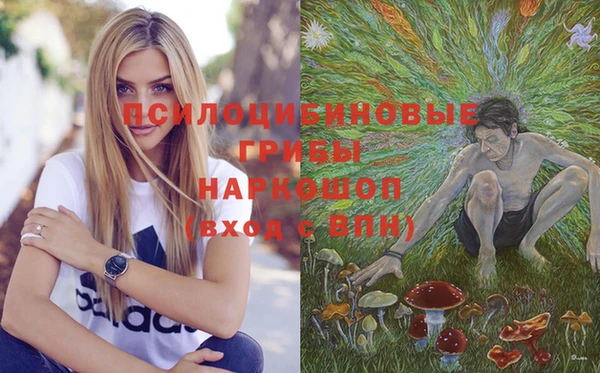 синтетический гашиш Алексеевка